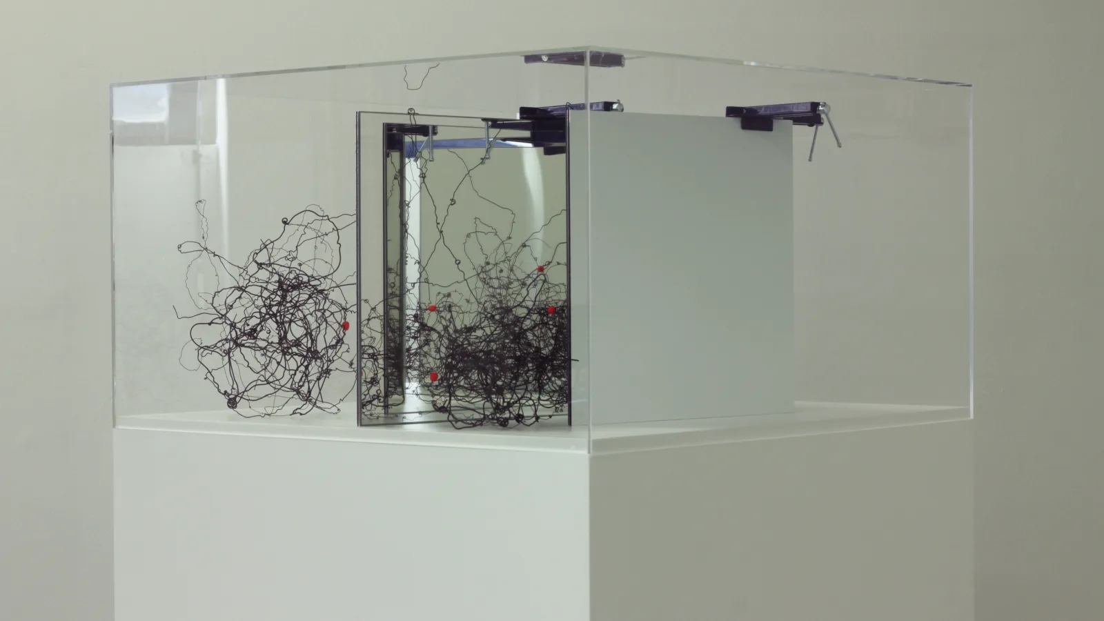 “Circuit Training”, “reality” by Denise Schellmann, 2017, photo: Virgil Widrich