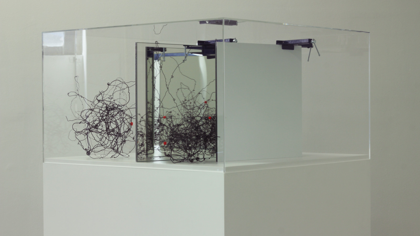 „Circuit Training“, „reality“ von Denise Schellmann, 2017, Foto: Virgil Widrich