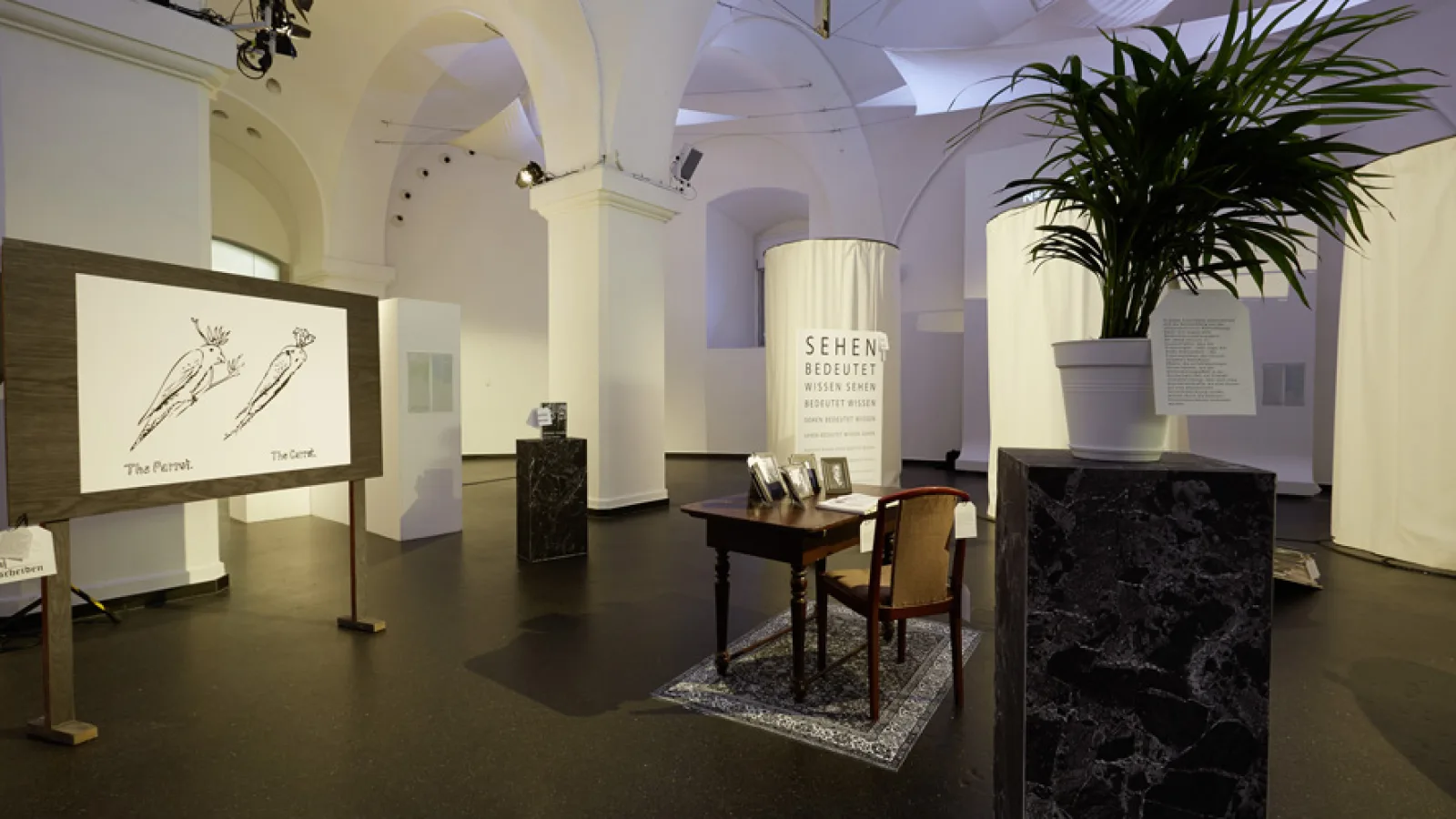 “Animation Suspended” by Isidora Krstic, Al Teleki, “Crucial Experiments”, Vienna Art Week 2013