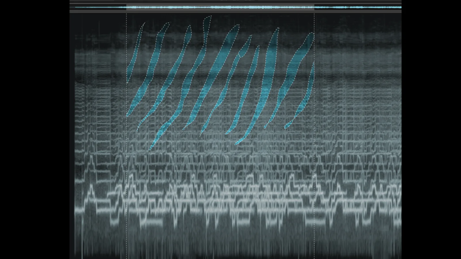 “Light Matter”: screenshot by Siegfried Friedrich (music), 2018