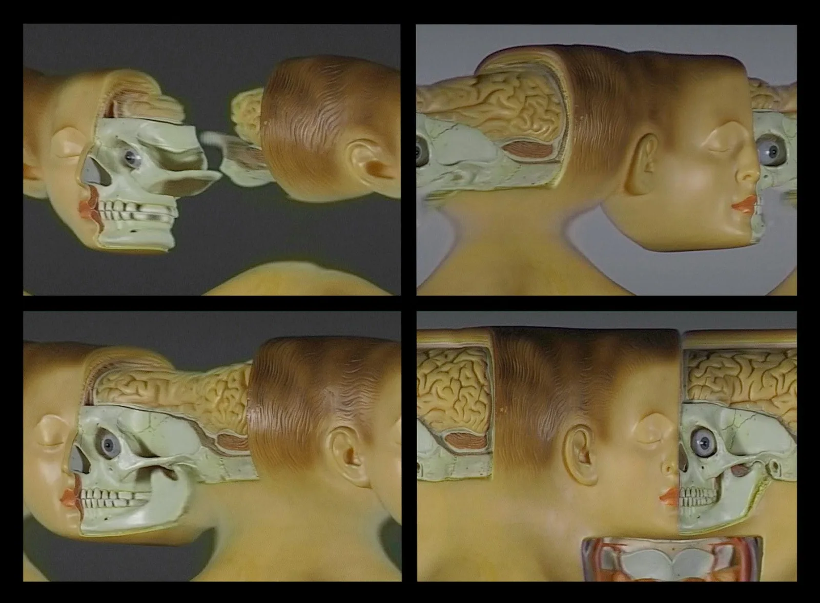tx-transformation of a head, 1998