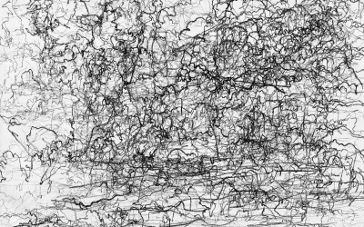 Radical Matter