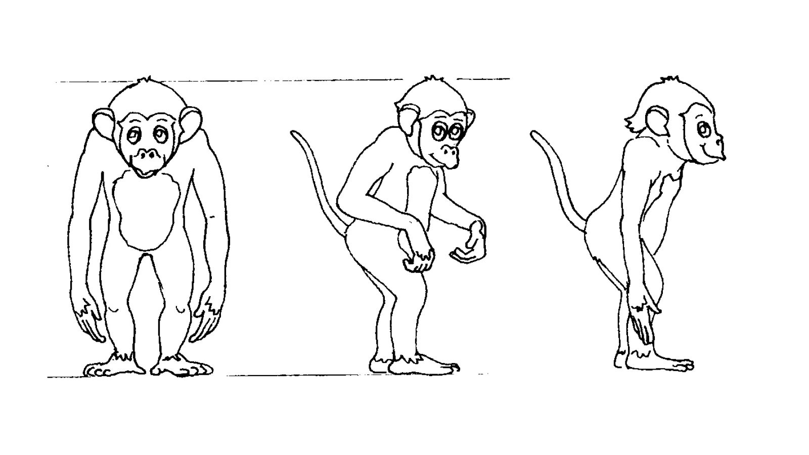 “Robbi – Abenteuer auf CD-ROM”, I-Motion Ges.m.b.H., monkey “turn around sheet”, 1996