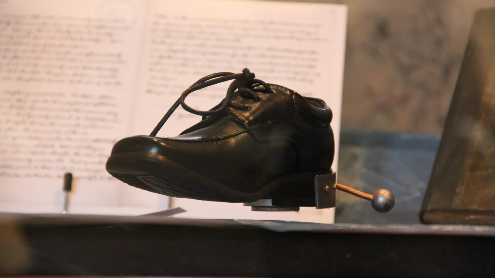 Michael Bachhofer: “Better small than tall - Dwarf elephants, Nikola Tesla and the rest of the world”, “Things that talk”, Museum of Natural History Vienna, 2011. Photo: Virgil Widrich