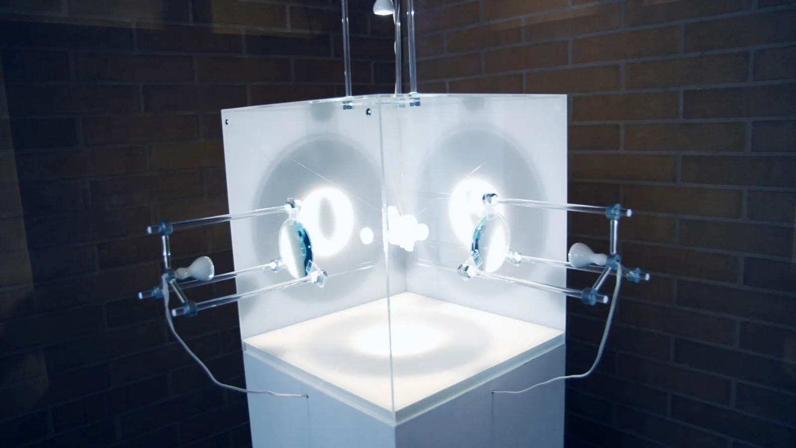 Sara Duit “Projections”, “Things that talk”, Museum of Natural History Vienna, 2011.