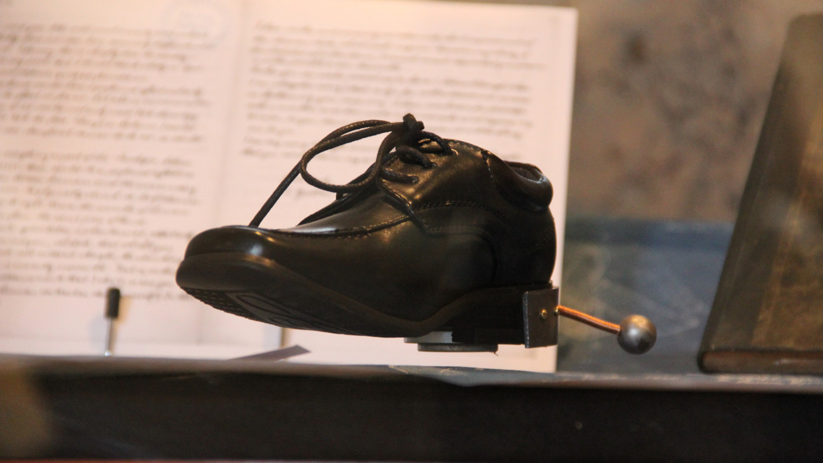 Michael Bachhofer: „Better small than tall - Dwarf elephants, Nikola Tesla and the rest of the world“, „Things that talk“, Naturhistorisches Museum Wien, 2011. Foto: Virgil Widrich