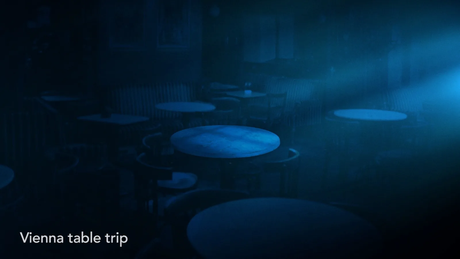“Vienna table trip”, still frame, 2016